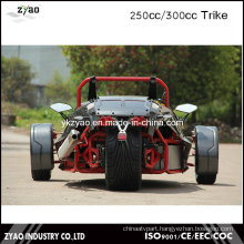 250cc Motor Engine Ztr Trike Roadster Tricycle Vehicles